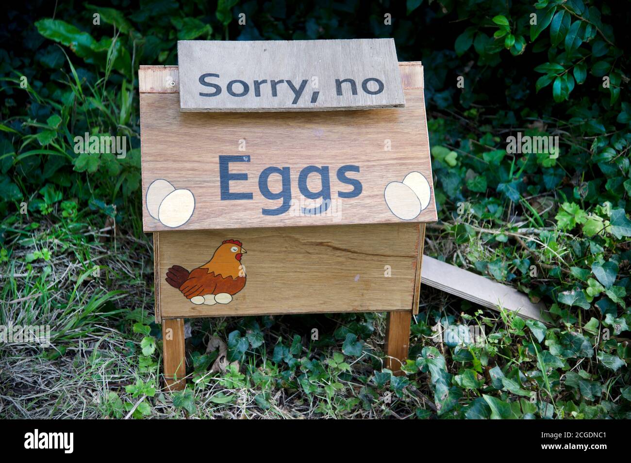 Pembrokeshire, pays de Galles. Dale. Panneau indiquant « ne pas faire d'œufs » sur le point de vente libre-service. Banque D'Images