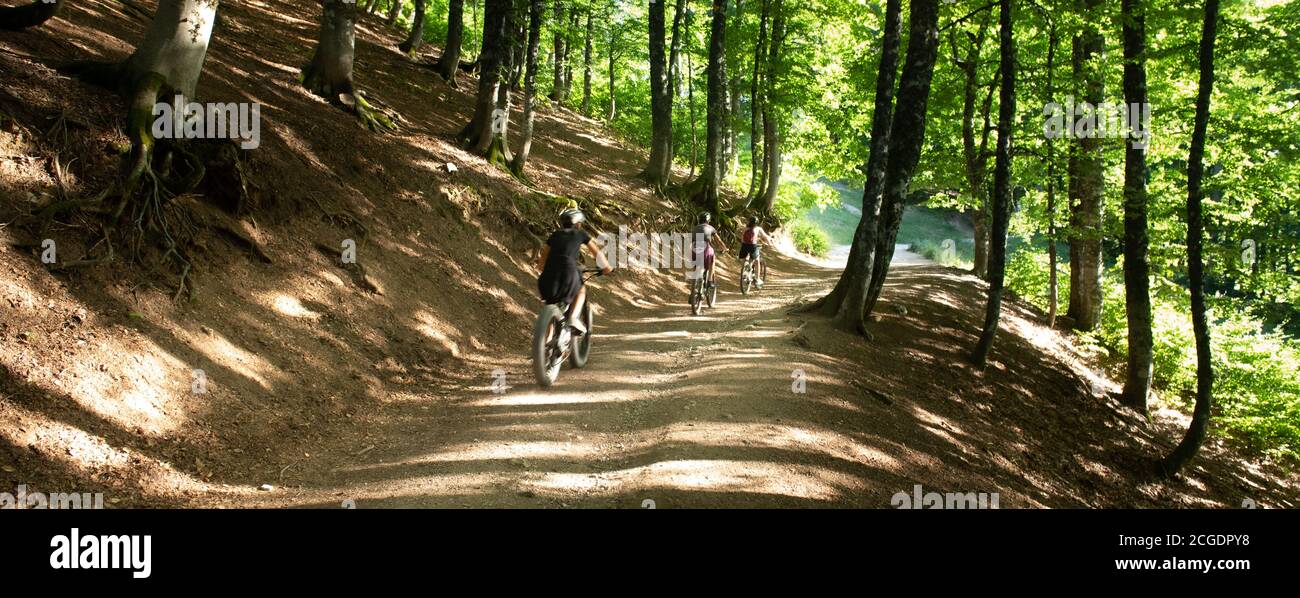 Les gens font du vélo dans la nature verte paysage forêt sentier en plein air sport Banque D'Images