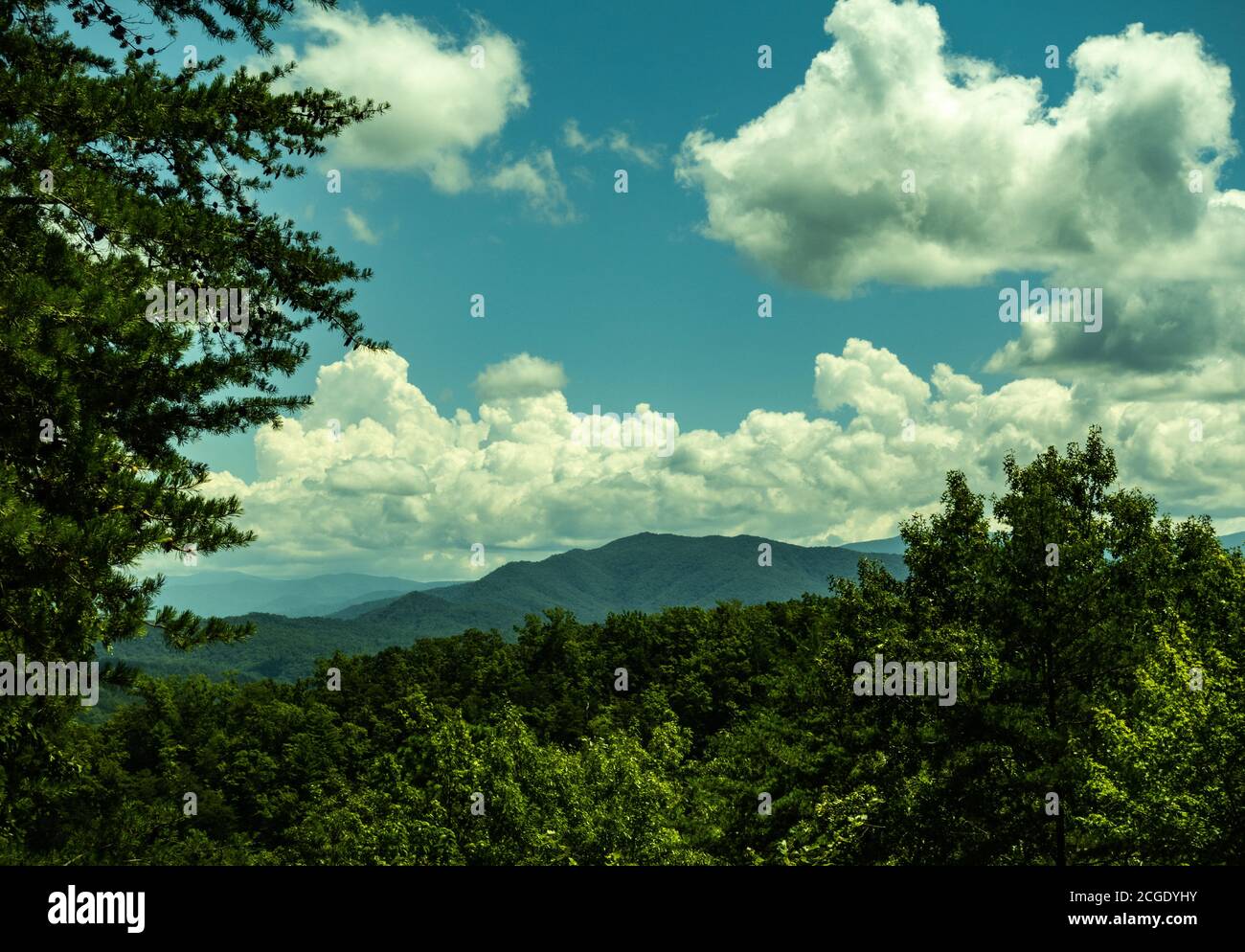 Magnifique journée ensoleillée le long de la Foothills Parkway dans le Tennessee avec vue sur les montagnes avec des nuages blancs moelleux au-dessus Banque D'Images