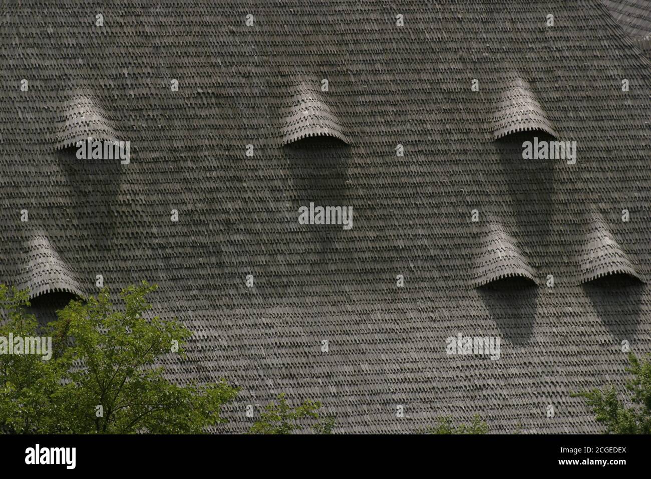 Toit traditionnel de bardeaux en bois à Maramures, Roumanie Banque D'Images