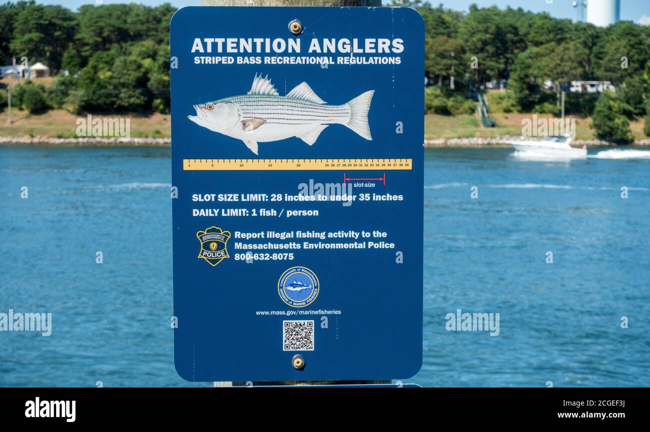 Les pêcheurs à la ligne signent des règlements de pêche à l'achigan à rayures de 28-35 pouces de taille et une limite quotidienne de poisson sur le canal de Cape Cod, Bourne, Massachusetts Banque D'Images