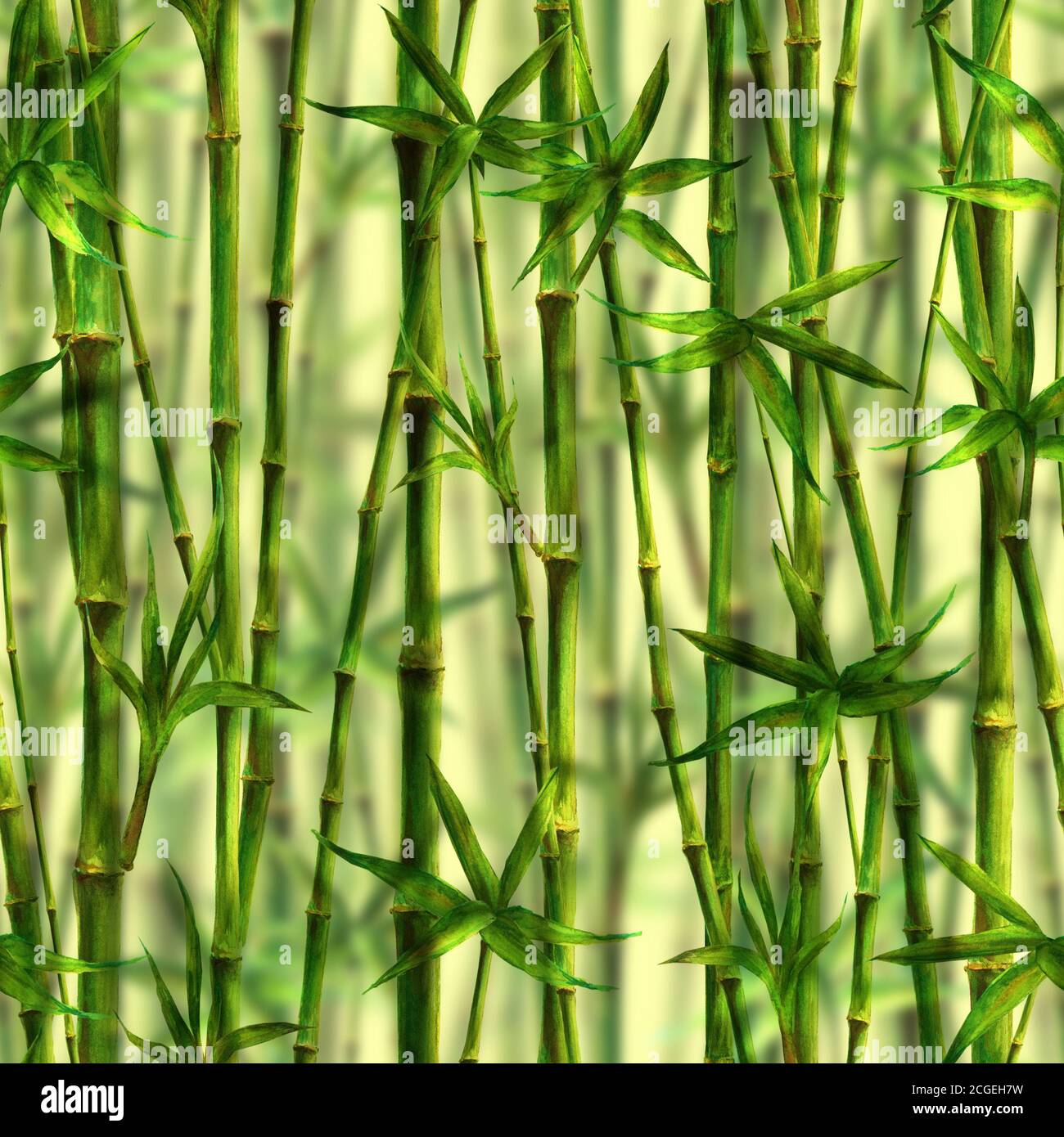 Motif D Aquarelle En Bambou Sur Fond Vert Aquarelle Dessin Main Vert Texture Botanique Illustration Imprimer Pour Textil Photo Stock Alamy