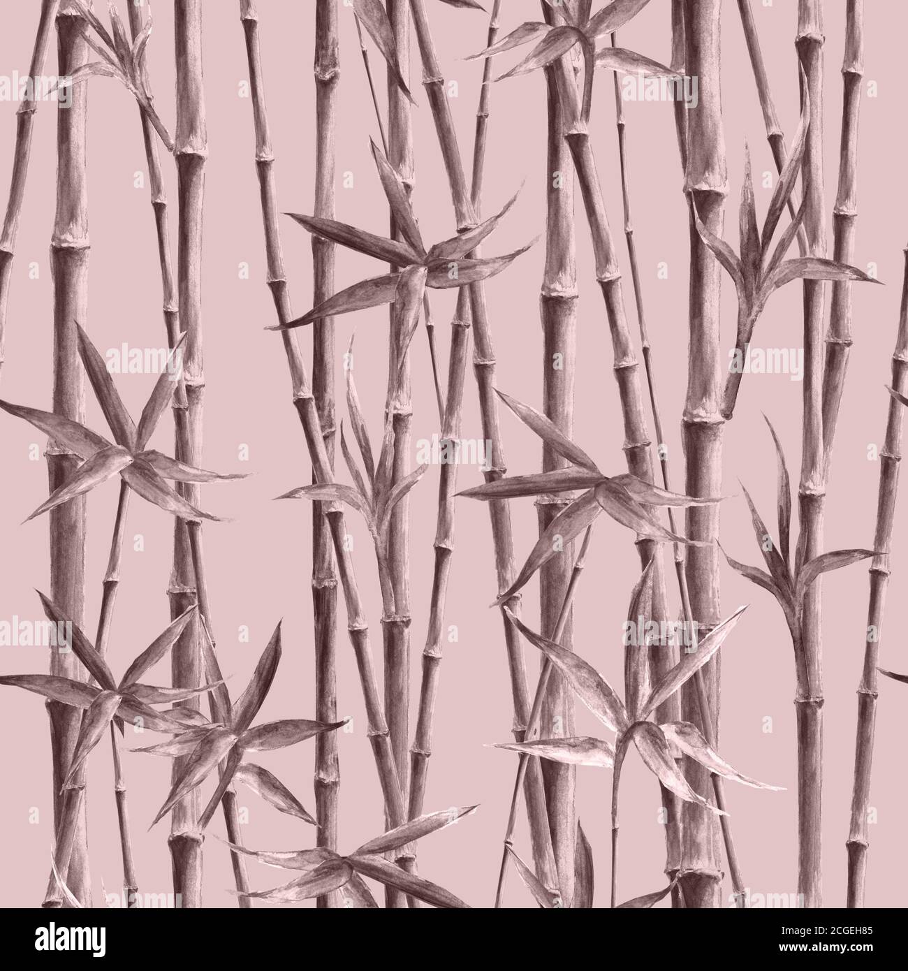 Bambou aquarelle tiges et feuilles gris sans couture motif sur fond rose. Illustration de texture botanique monochrome aquarelle dessinée à la main. Imprimer f Banque D'Images