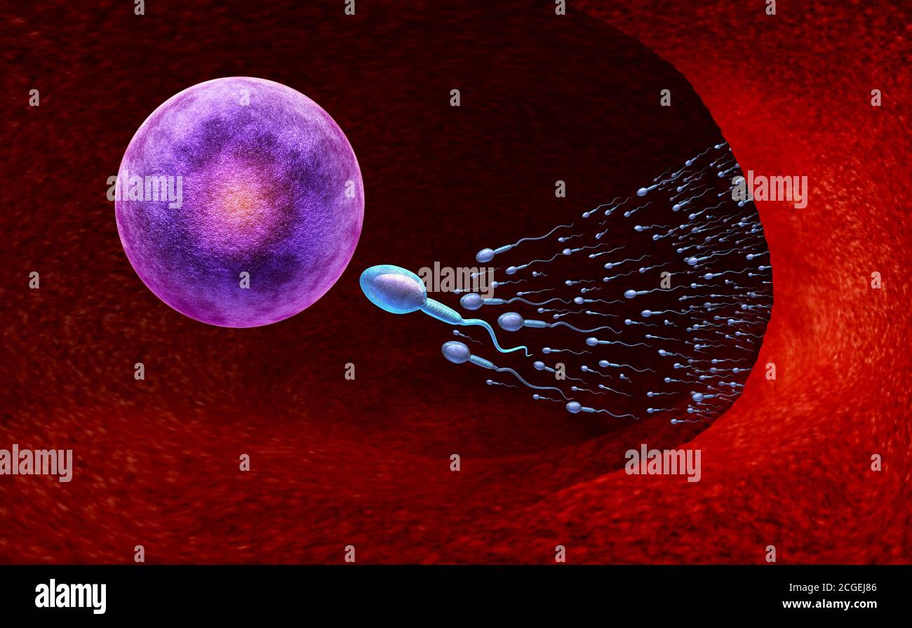 Reproduction Et Fertilité Concept Comme Un Sperme Microscopique Ou Des Cellules De 