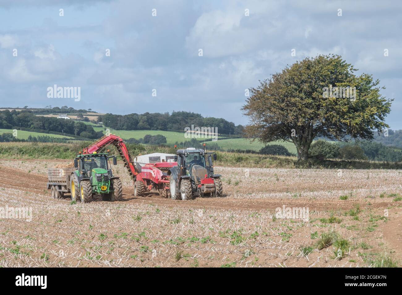 Récolteuse de pommes de terre Grimme GT 170 et tracteur John Deere 6155R transportant une remorque, travaillant en tandem. Récolte de pommes de terre au Royaume-Uni en 2020, production de pommes de terre au Royaume Banque D'Images