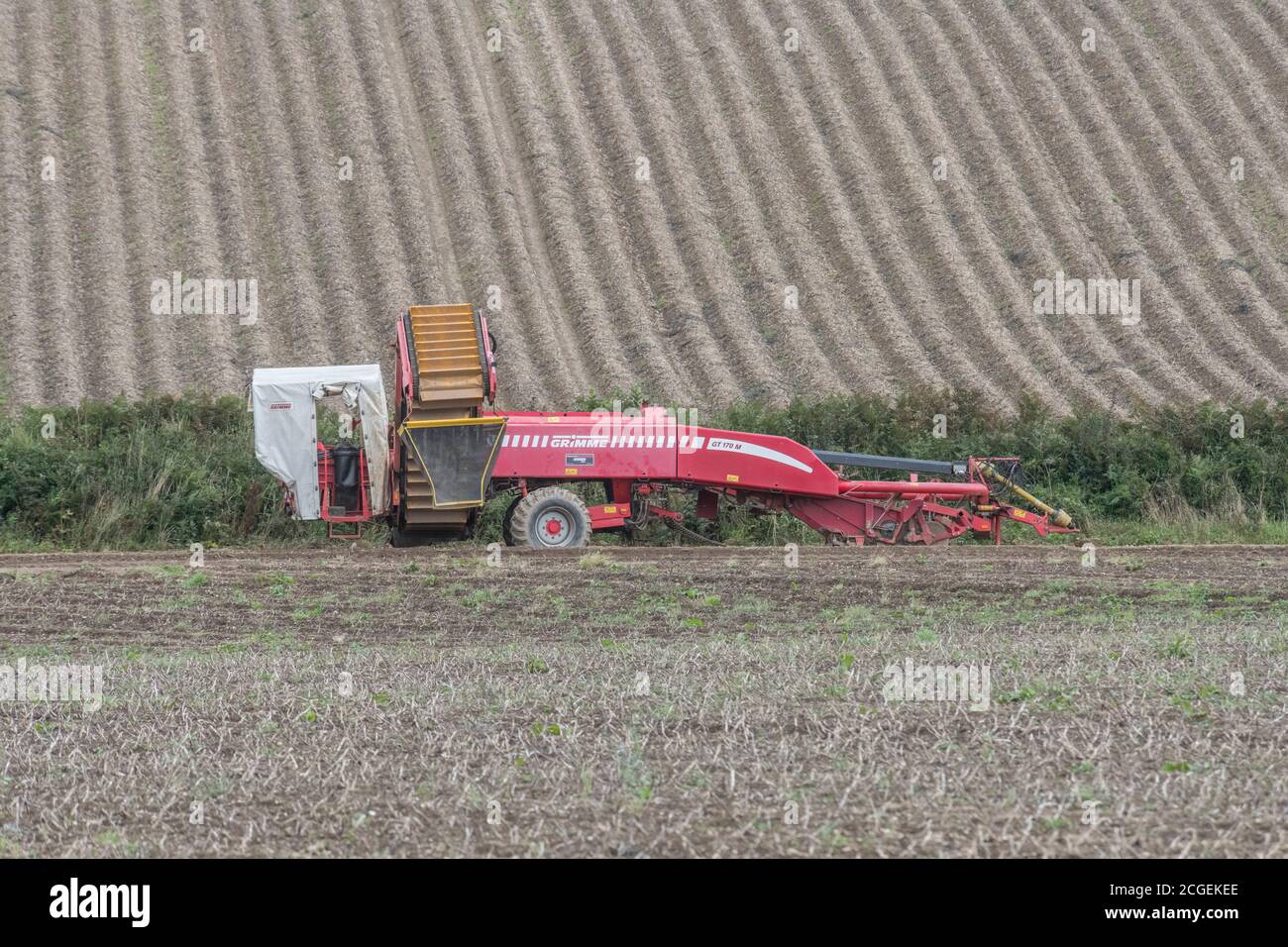 Récolteuse de pommes de terre GRIMME découplée au fond du champ de pommes de terre de Cornouailles. Pour l'agriculture et l'alimentation au Royaume-Uni / la production de pommes de terre au Royaume-Uni, l'agriculture britannique. Banque D'Images