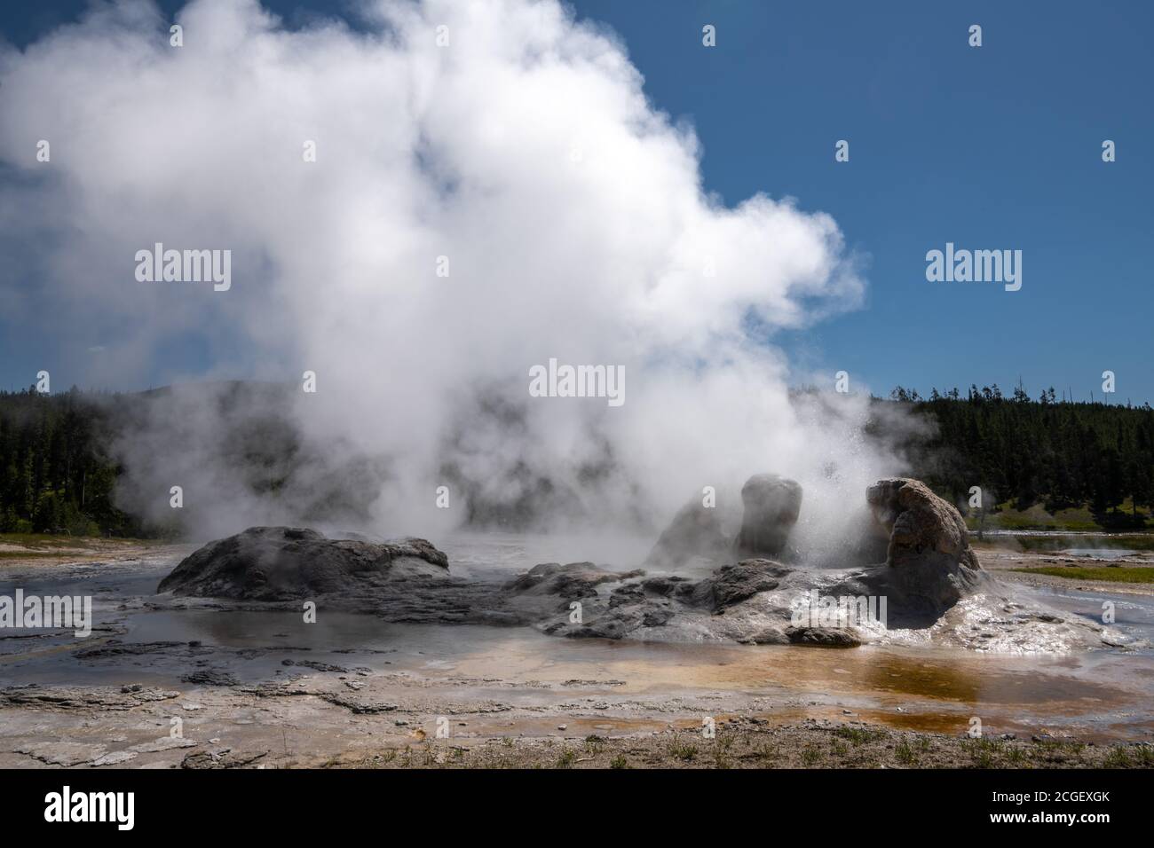 Grotto Geyser, Upper Geyser Basin, Parc National de Yellowstone Banque D'Images