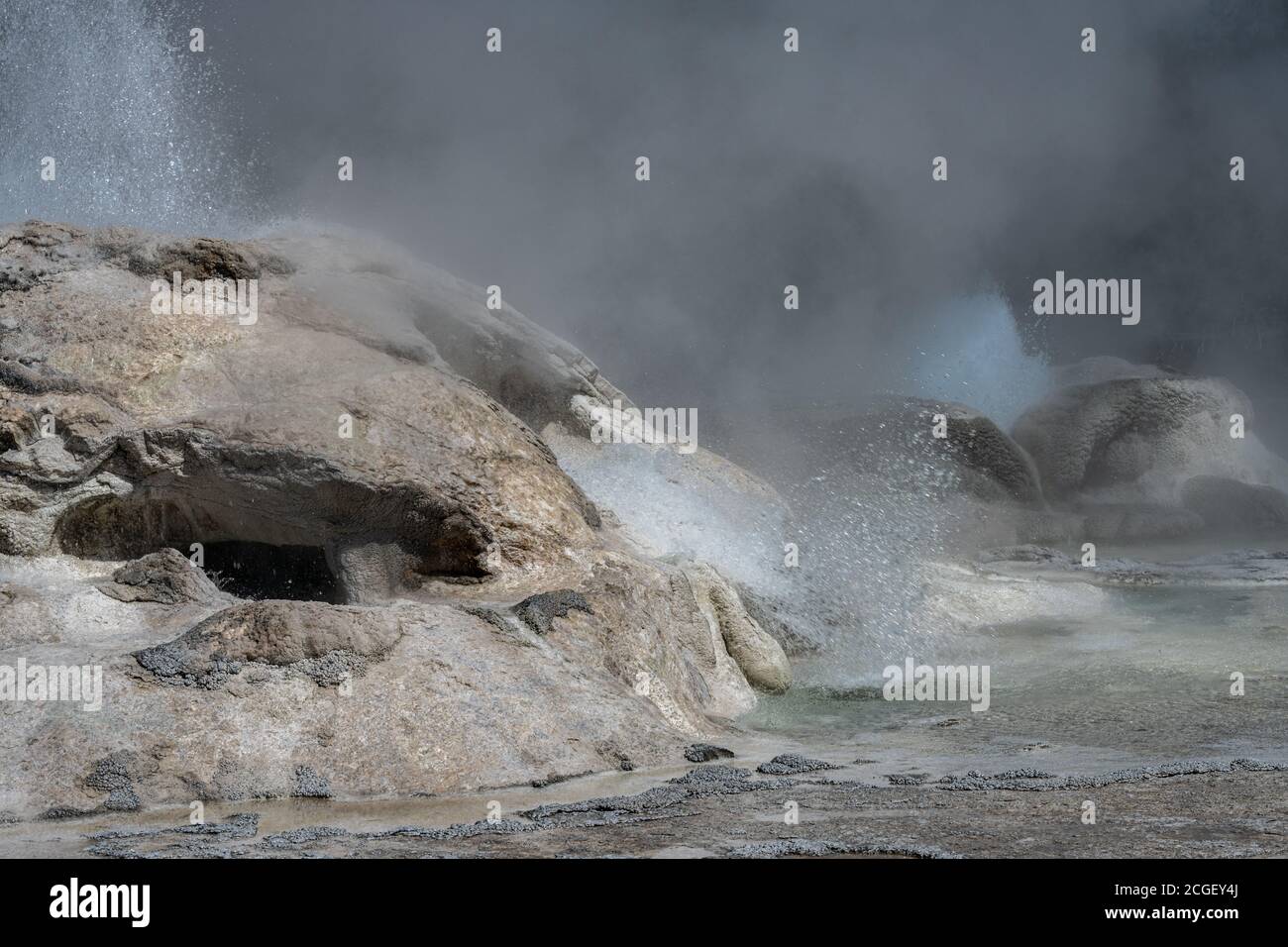 Grotto Geyser, Upper Geyser Basin, Parc National de Yellowstone Banque D'Images