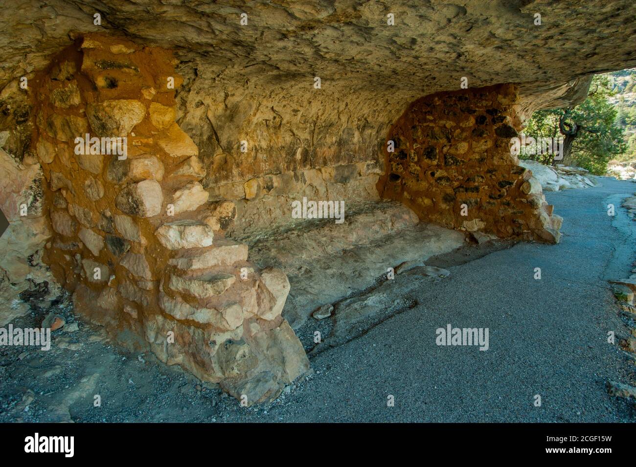 Les falaises de Sinagua, situées aux alentours de 1100 après J.-C., se trouvent au monument national de Walnut Canyon, près de Flagstaff, en Arizona, aux États-Unis. Banque D'Images