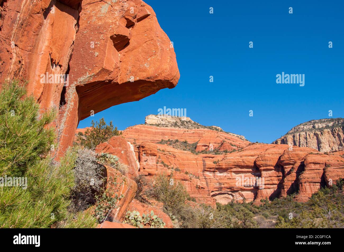Dans le Red Canyon se trouve le site du patrimoine patki, un site de falaises et d'art rupestre près de Sedona, Arizona, États-Unis. Banque D'Images