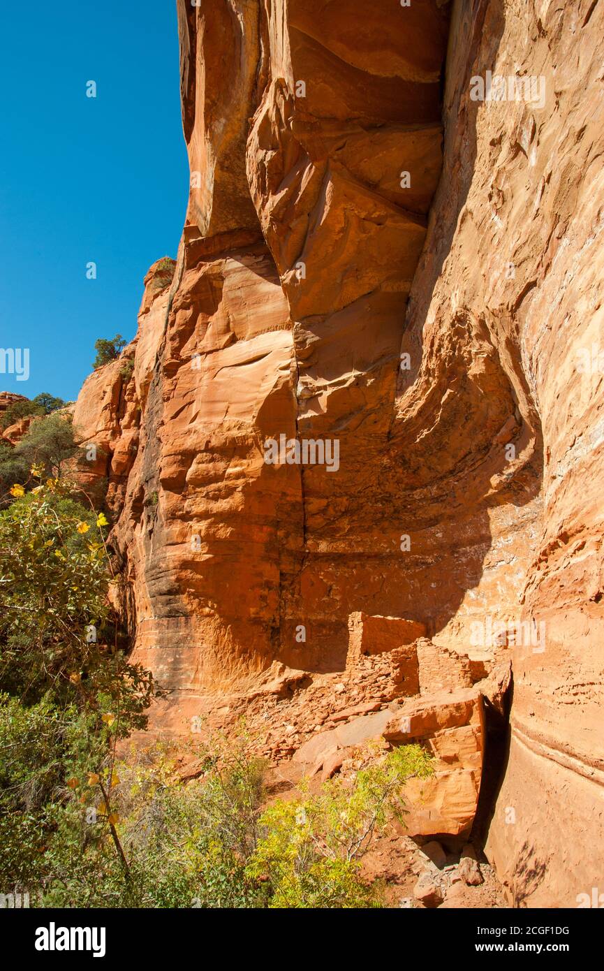 Dans le Red Canyon se trouve le site du patrimoine patki, un site avec des habitations de la falaise de Sinagua (1150 à 1300 après J.-C.) et de l'art rupestre près de Sedona, Arizona, États-Unis. Banque D'Images