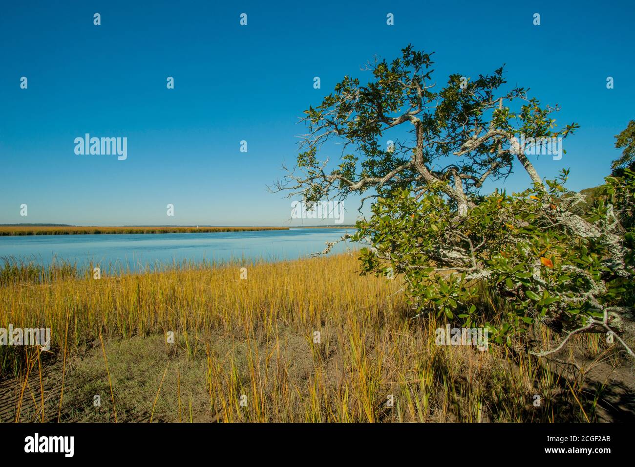Vue sur un marais salé à Big Bay Creek, parc national d'Edisto Beach, sur l'île d'Edisto en Caroline du Sud, États-Unis. Banque D'Images