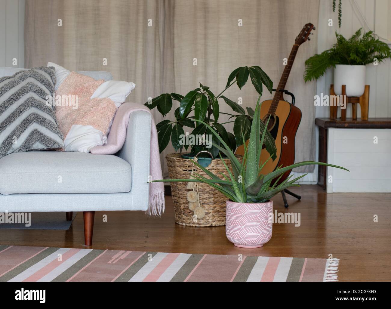 chambre intérieure avec canapé coussins maison en pot plantes aloe vera et  guitare Photo Stock - Alamy