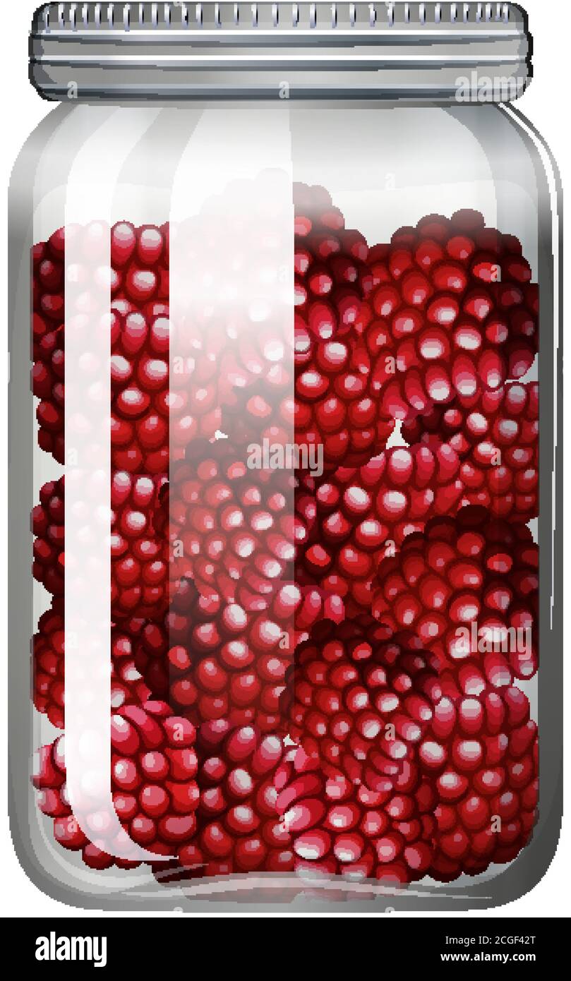 Illustration des framboises dans le pot en verre Illustration de Vecteur