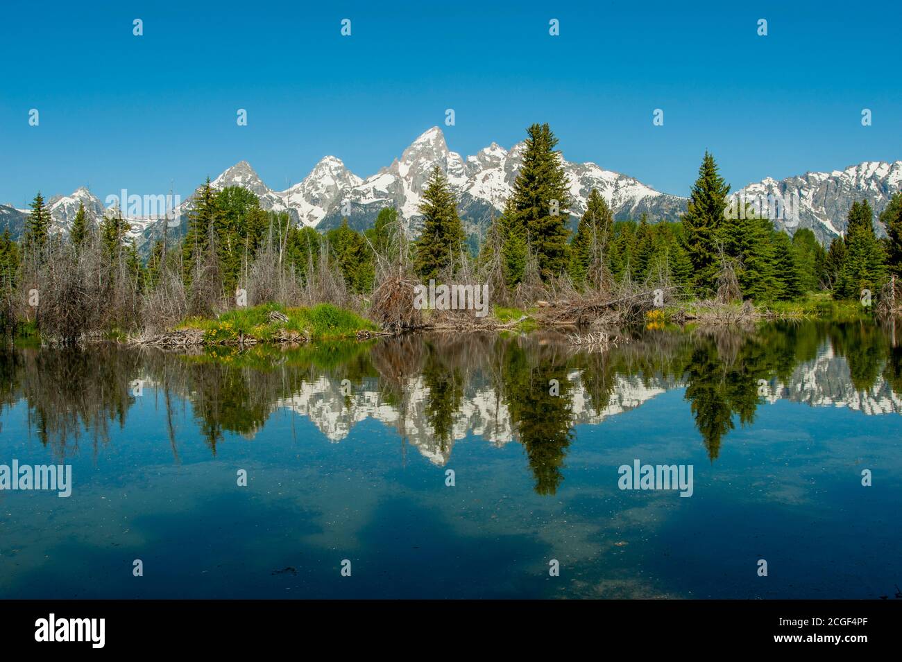 Vue sur un étang de castors à Schwabacher Landing avec les montagnes de Grand Teton dans le parc national de Grand Teton, Wyoming, États-Unis. Banque D'Images