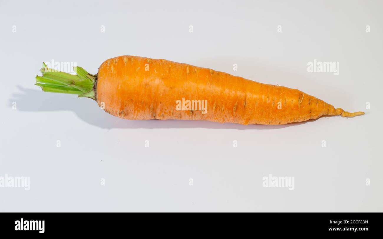 Grande carotte fraîche isolée sur fond blanc Banque D'Images