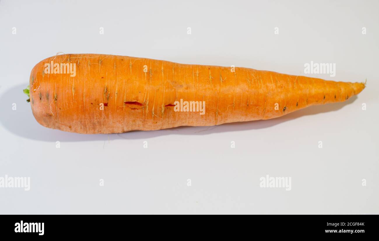 Grande carotte fraîche isolée sur fond blanc Banque D'Images