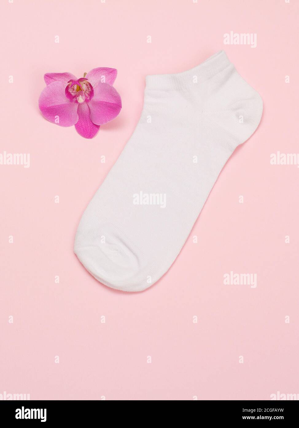 Une chaussette femme et une fleur d'orchidée sur fond rose, vue du dessus avec espace de copie. Banque D'Images