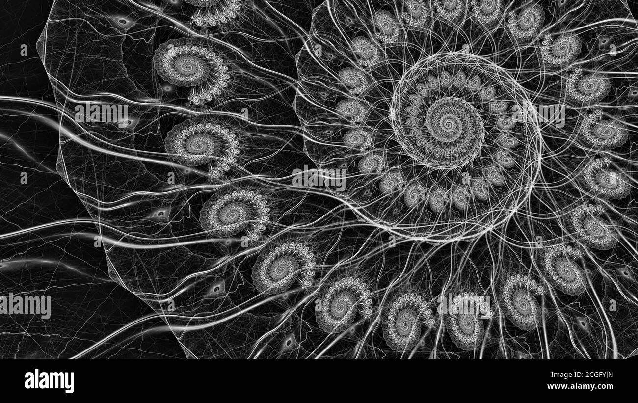 Structure fractale en spirale, carte d'intensité abstraite noire et blanche générée par ordinateur Banque D'Images