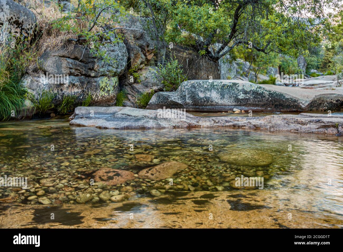paysage de cours d'eau dans la sierra de guadarrama, parc national du même nom. Madrid. Espagne Banque D'Images