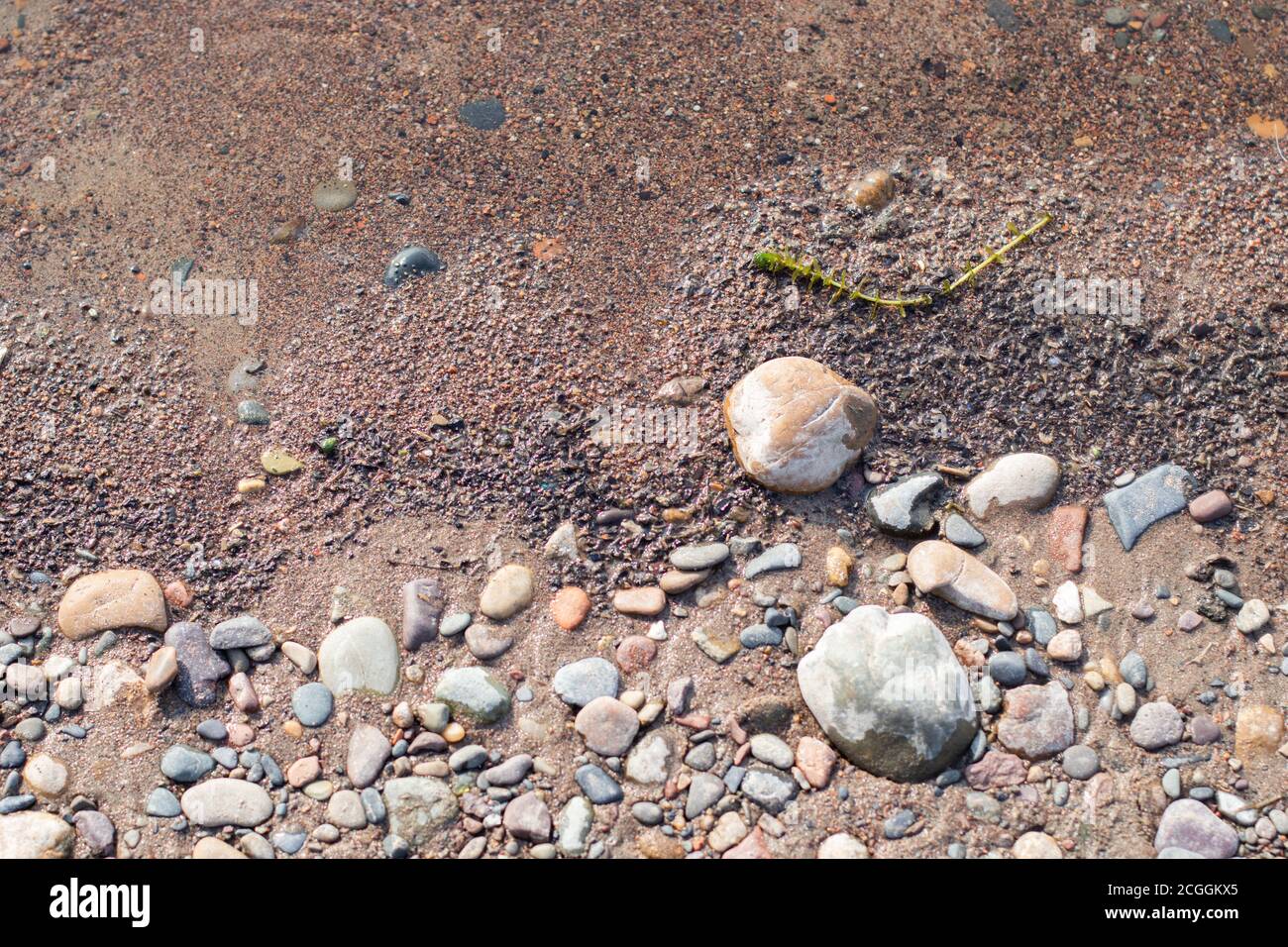 Rochers et algues sur la rive de la rivière Banque D'Images