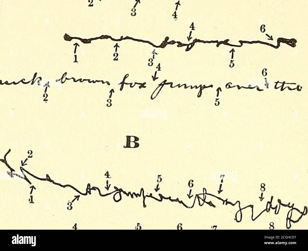 . Éducation expérimentale; manuel de laboratoire et résultats typiques . uld être observé et discuté dans le rapport: — il est évident qu'il y a une grande différence individuelle dans la quantité de mouvement de bras par rapport à la fingermovement dans les trois cas dont les dossiers sont avantus. Dans le cas où le mouvement du doigt est la quantité de léastine il y a encore une certaine quantité, en particulier dans les mots précédents d'une phrase. Il est important de noter que la quantité supplémentaire de movementARM qui peut être introduite volontairement est limitée. Les habitudes établies de longue date ne changent pas rapidement. L'enregistrement du traceur est sho Banque D'Images