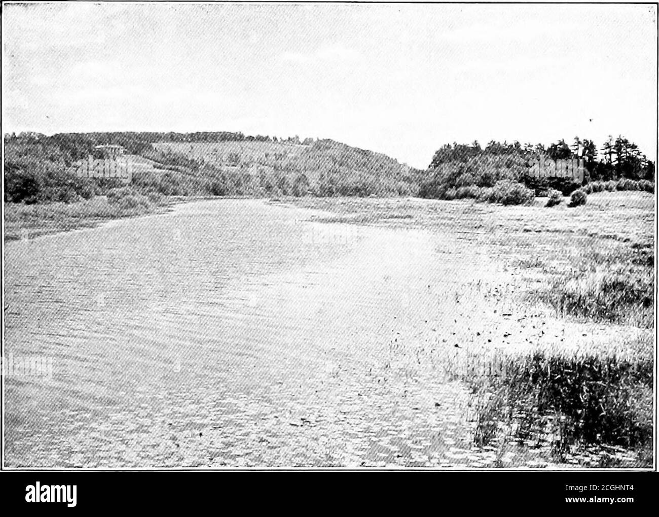. Tout au long de l'année avec Thoreau . omena des fils de mer avançant. Mieux encore, Walden Pond — la localité de Concord qui est la plus étroitement associée à Thor-eau dans l'esprit du public — Est peu changé de ce qui était quand Thoreau a construit sa célèbre cabane par son rivage et il a vécu la vie ermite unique dont il a donné un compte si complet à Walden. Pendant un certain nombre d'années le chemin de fer de Fitchburg a profité de sa proximité à l'étang pour l'exploiter comme une station de pique-nique, et chaque été des milliers de personnes ont été Broughtto ses rives pour profiter d'une journée de congé: Le canotage sur l'étang, balançant dans le pi Banque D'Images