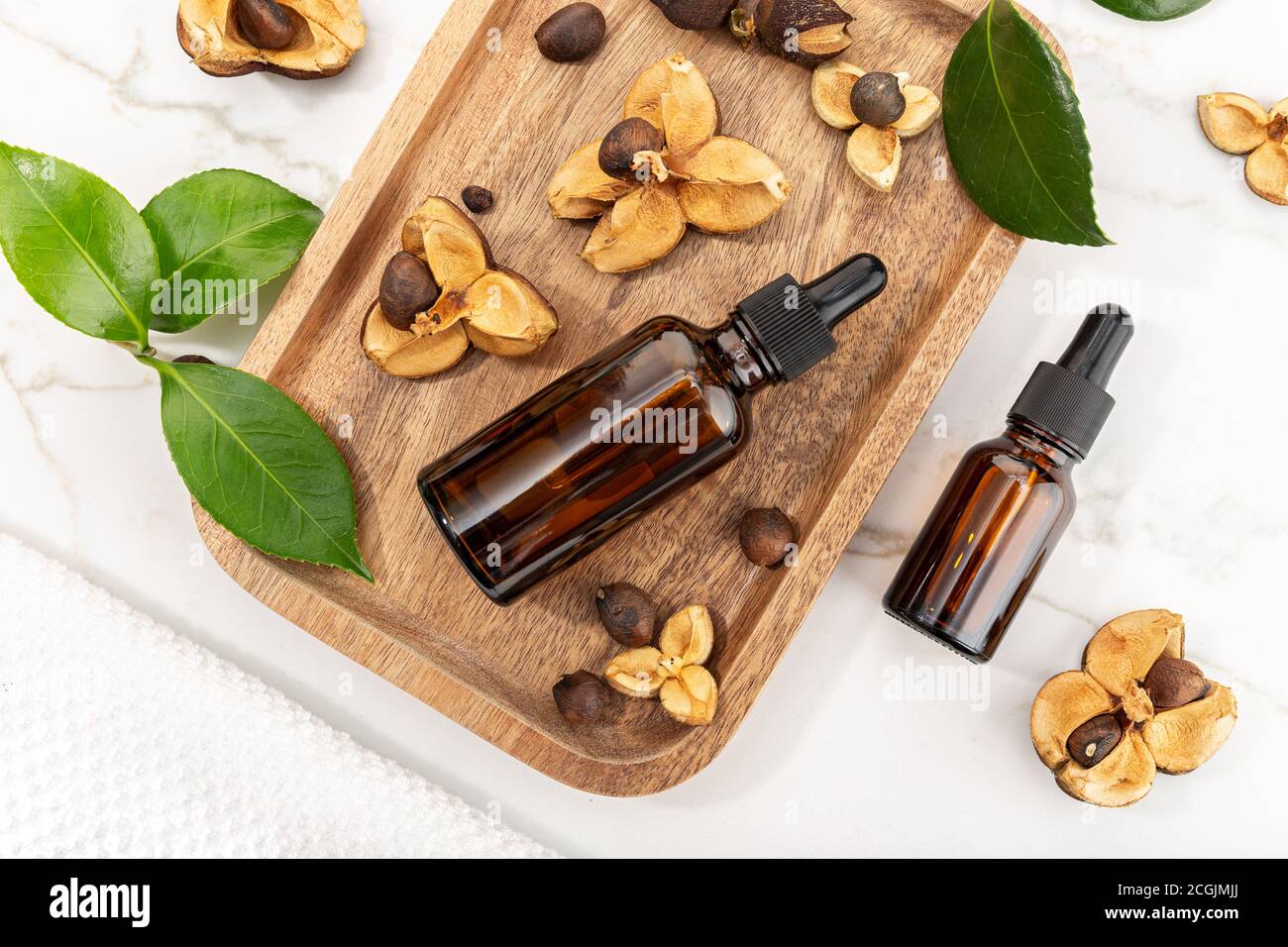 Camellia bouteille d'huile essentielle et graines de camellia sur plateau en bois Beauté, soins de la peau, bien-être Banque D'Images