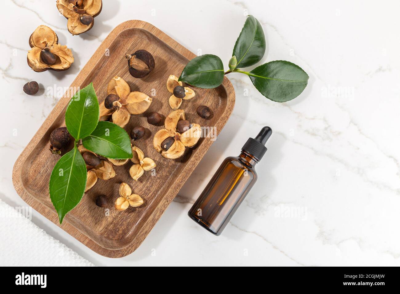 Camellia bouteille d'huile essentielle et graines de camellia sur plateau en bois Beauté, soins de la peau, bien-être Banque D'Images