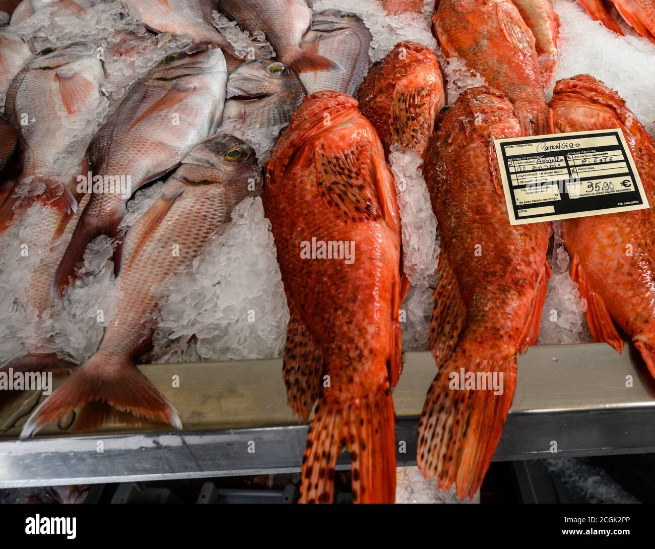 Carneiro Fish (scorpion rouge) et Sea Bream à vendre au marché aux poissons de Funchal, Madère Banque D'Images