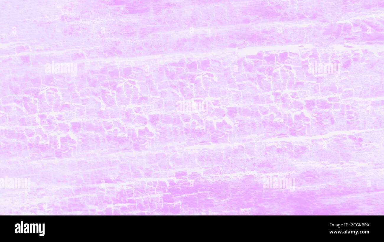 Fuchsia dégradé couleur fond inégal, texture bois, 16 sur format 9 Banque D'Images Fuchsia dégradé couleur fond inégal, texture bois, 16 sur format 9 Banque D'Images