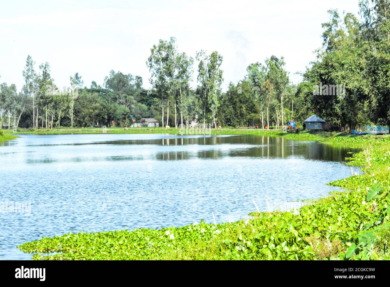 Lake Banque D'Images