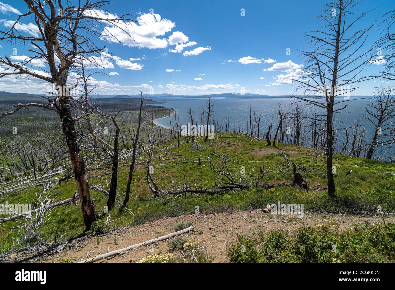 Vue d'ensemble du lac Butte et dégâts causés par un incendie sauvage, parc national de Yellowstone Banque D'Images