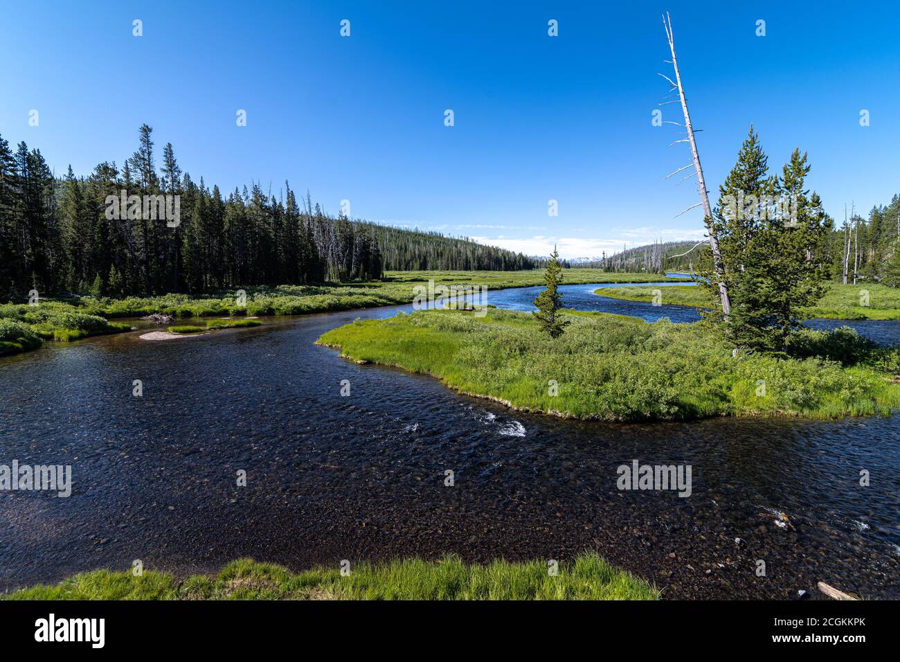 Lewis River, parc national de Yellowstone Banque D'Images