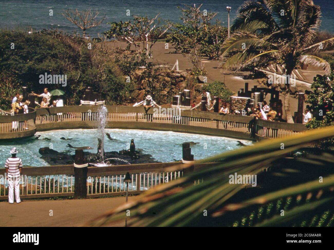 Sea Life Park, comme Paradise Park, est une entreprise commerciale qui se construit dans une zone de conservation. Une collection de la vie marine allant de l'anémone de baleines est affiché avec imagination. Octobre 1973 Banque D'Images