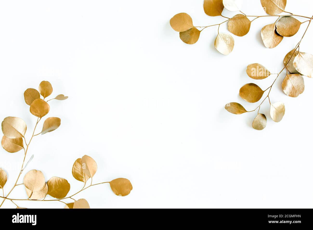 Bordures du cadre de branches d'or, feuilles d'eucalyptus sur fond blanc. plan plat, vue de dessus Banque D'Images