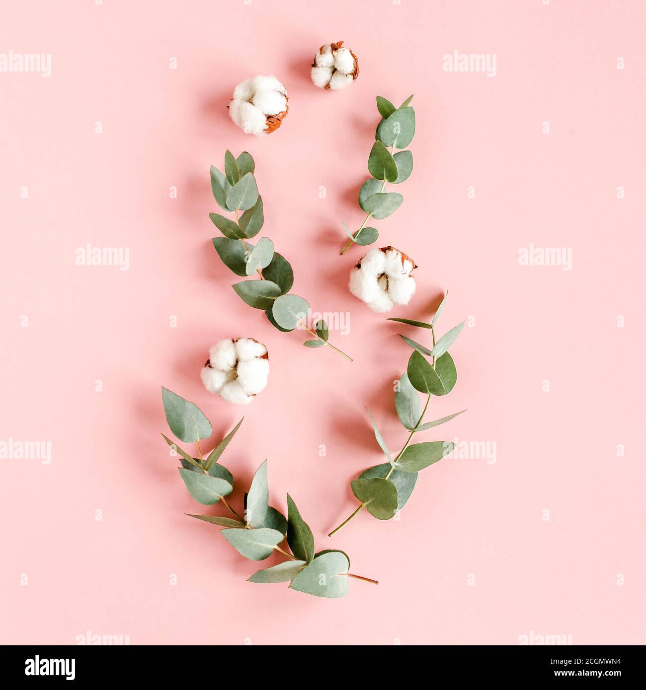 Motif abstrait fait de branches eucalyptus, feuilles et coton comme huit isolé sur fond rose. Flat Lay, vue de dessus. Concept floral Banque D'Images