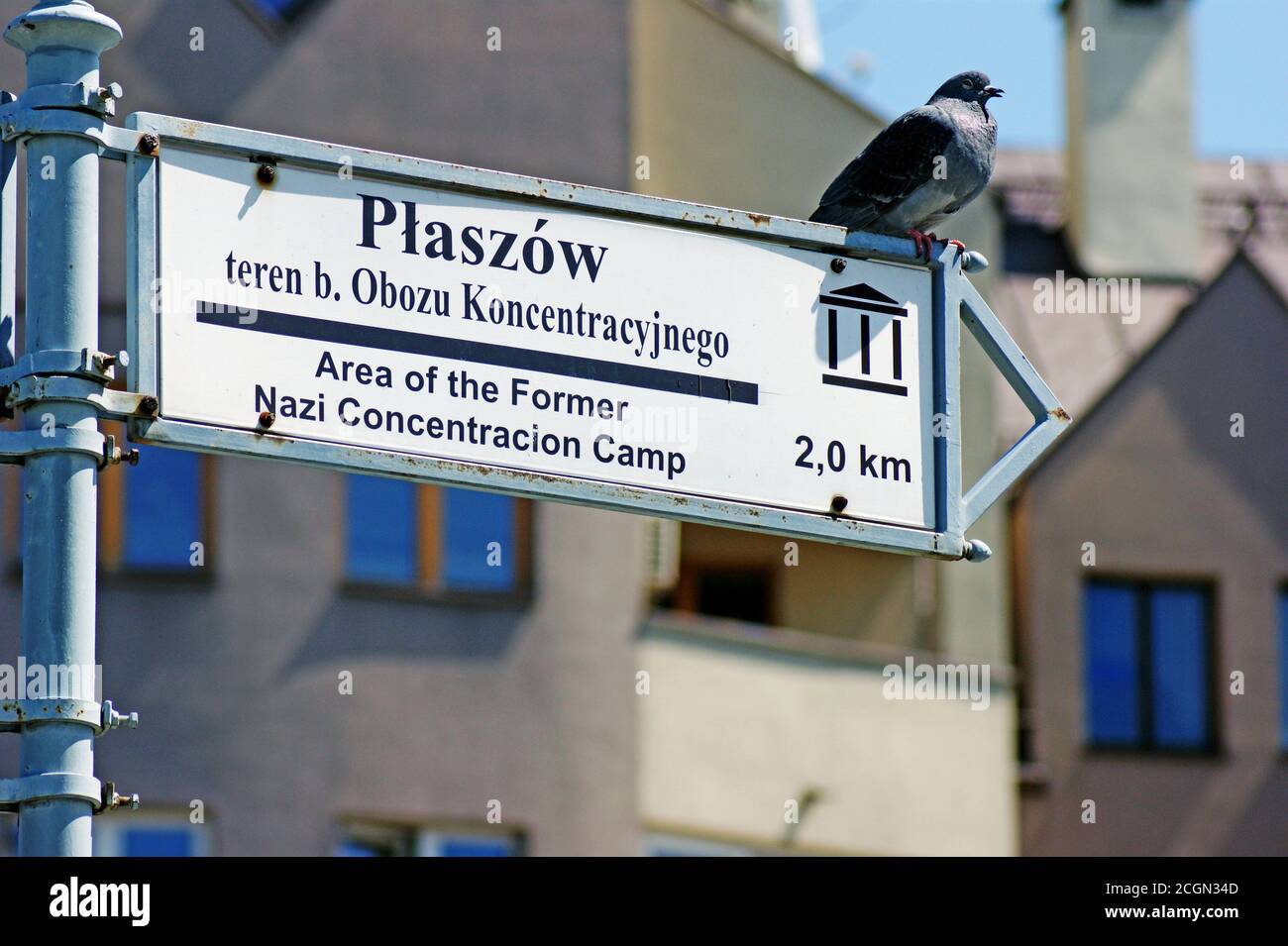 Un pigeon de la famille des Columbidae se trouve au sommet d'un panneau à Cracovie, en Pologne, pointant vers Plaszow, une banlieue connue pour un ancien camp de concentration nazi. Banque D'Images