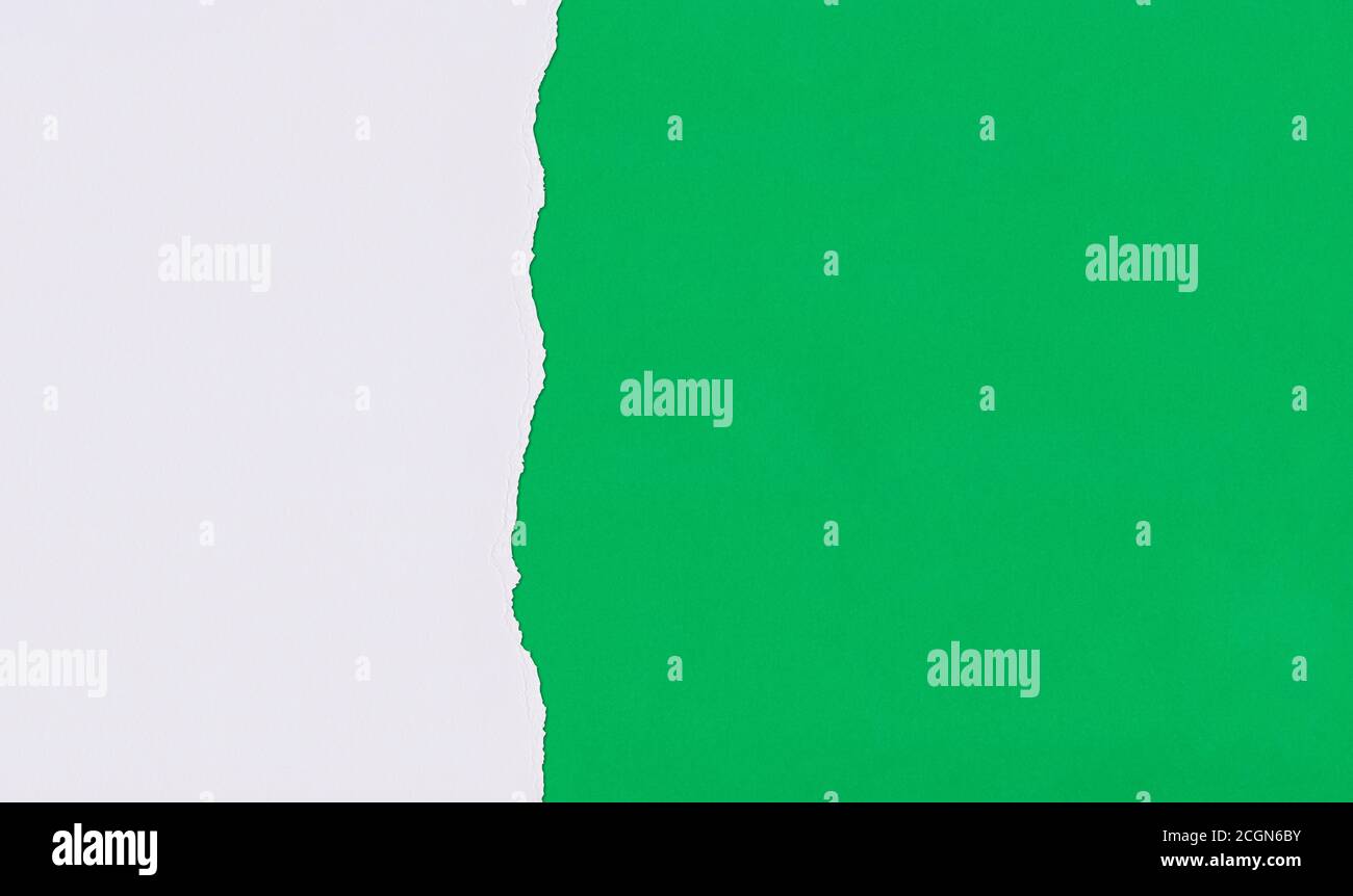 Papier Green Art de chevauchement et de déchirement pour la conception d'arrière-plan. Banque D'Images