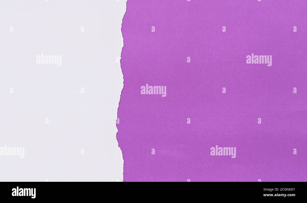 Papier violet Art de chevauchement et de déchirement pour la conception d'arrière-plan. Banque D'Images