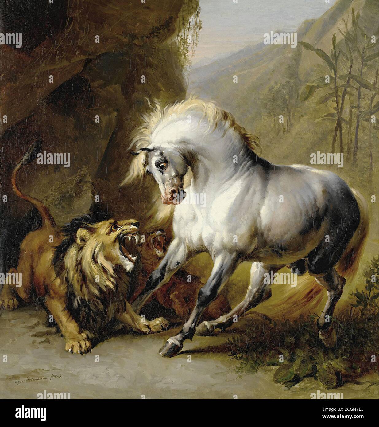 Verboeckhoven Eugene Joseph - un cheval attaqué par un Lion - École belge - 19e siècle Banque D'Images
