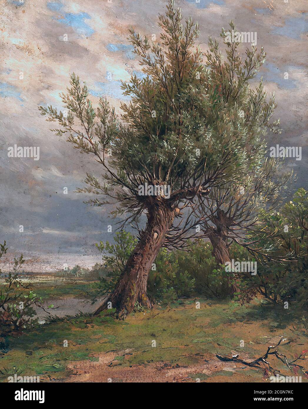 Plumot André - les Saules - Ecole belge - 19ème Siècle Banque D'Images