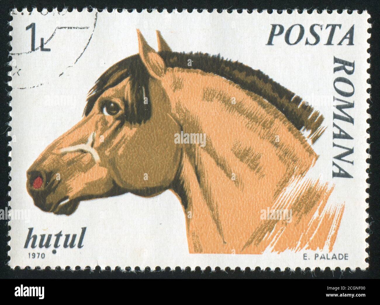 ROUMANIE - VERS 1970 : timbre imprimé par la Roumanie, cheval d'exposition Moravie du Nord, vers 1970. Banque D'Images