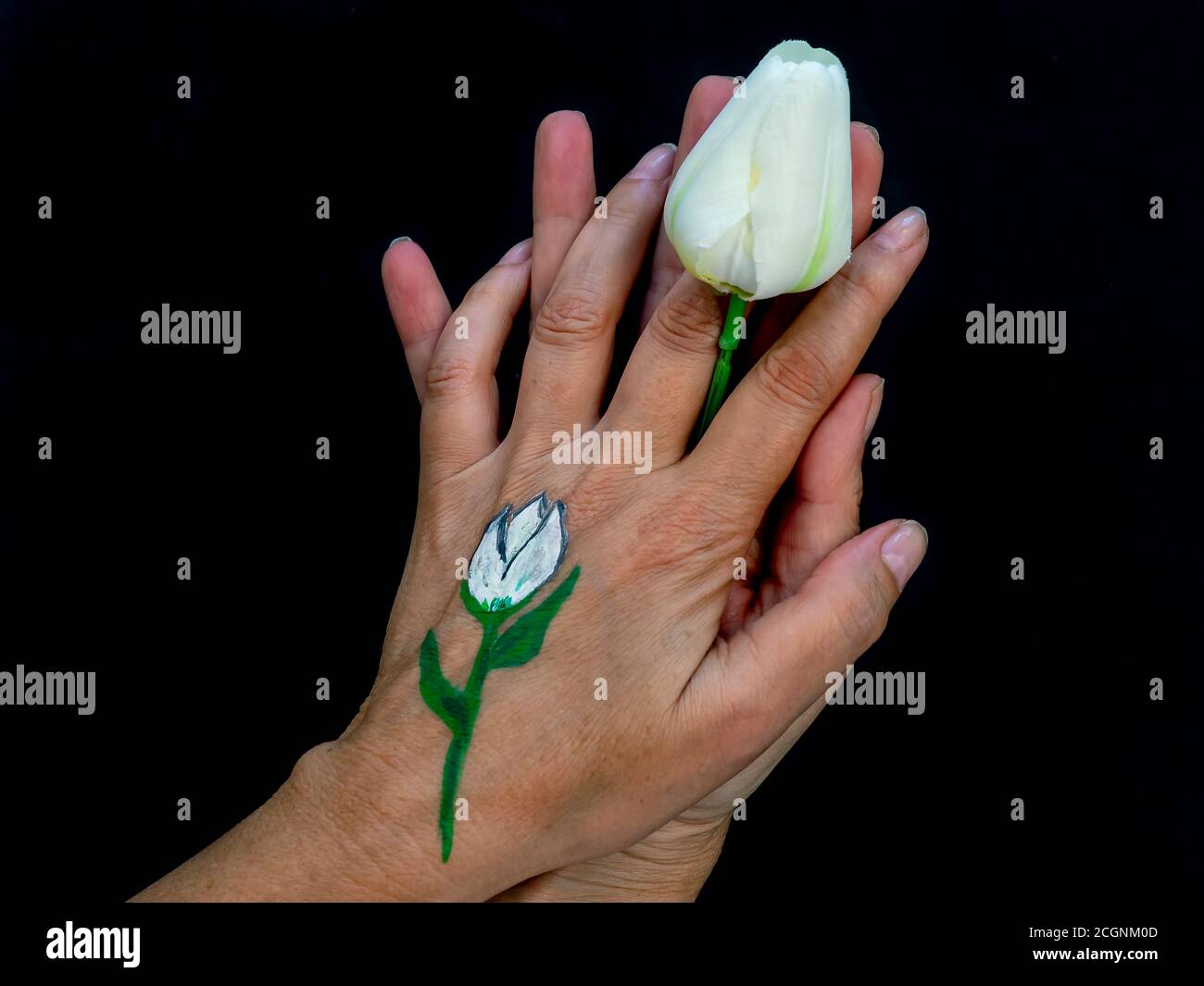 Les mains d'une femme tiennent une tulipe blanche et sur une de ses mains elle a la même fleur peinte Banque D'Images