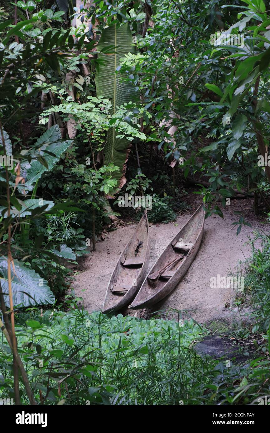 Forêt tropicale malgache avec deux canoës dugout. (Salle Masoala, Zurich.) Banque D'Images