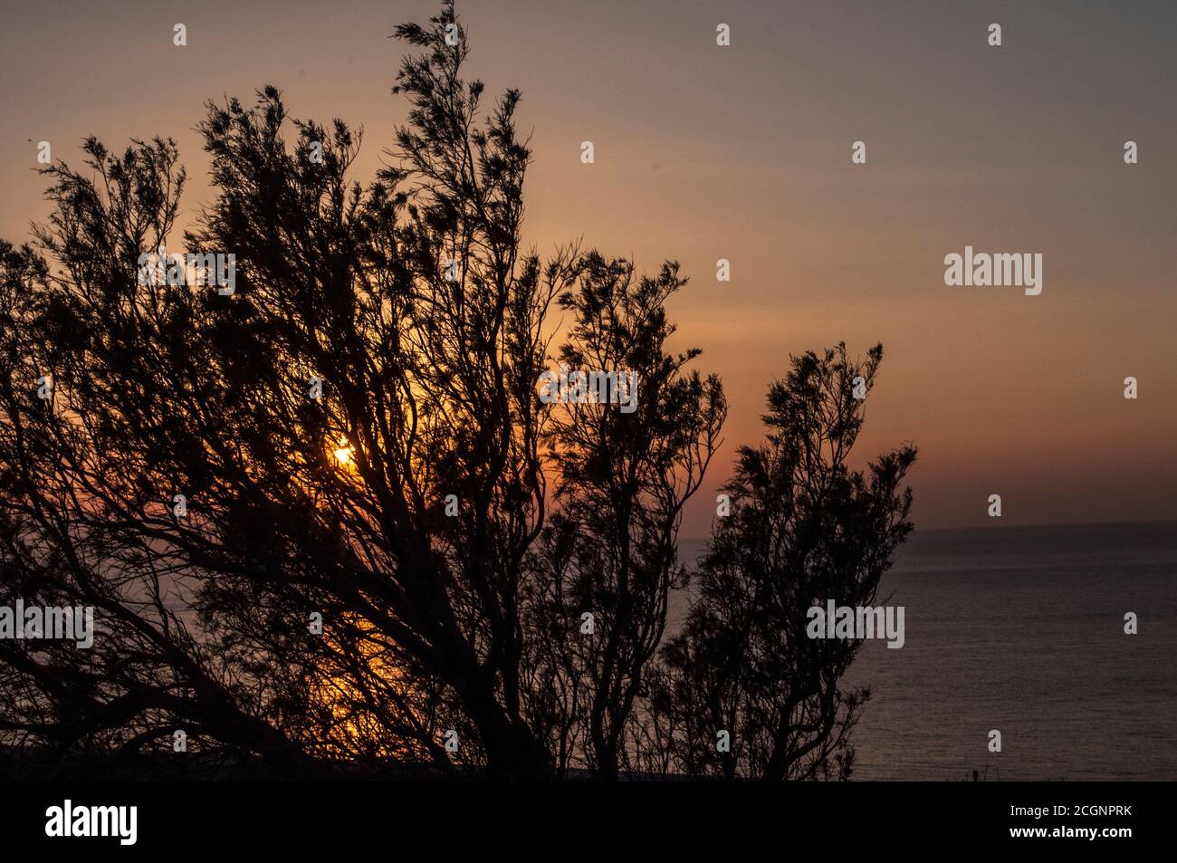 Photos prises de l'île grecque Tinos dans le sud de la mer Égée près de l'île de Mykonos. Ces photos se composent principalement de maisons, de fruits de mer, de navires et d'archéologie Banque D'Images