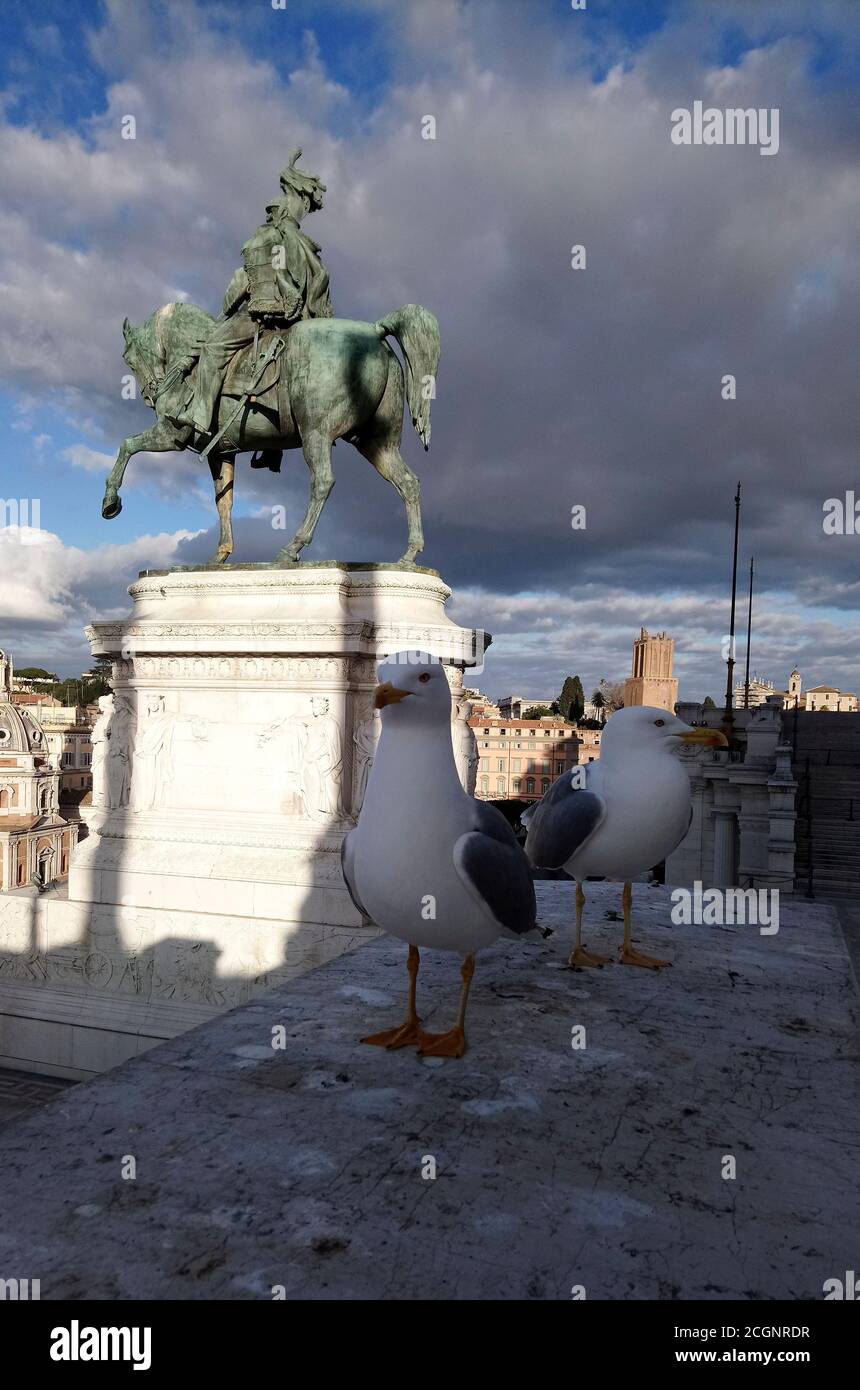Mouettes de Rome devant la statue Banque D'Images