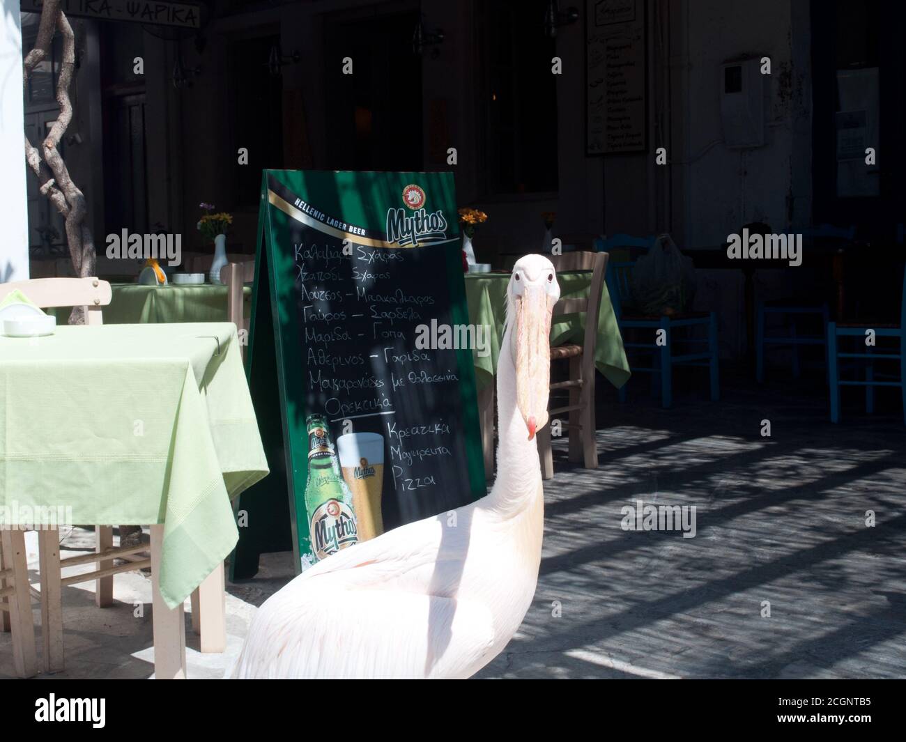 Photos prises de l'île grecque Tinos dans le sud de la mer Égée près de l'île de Mykonos. Ces photos se composent principalement de maisons, de fruits de mer, de navires et d'archéologie Banque D'Images