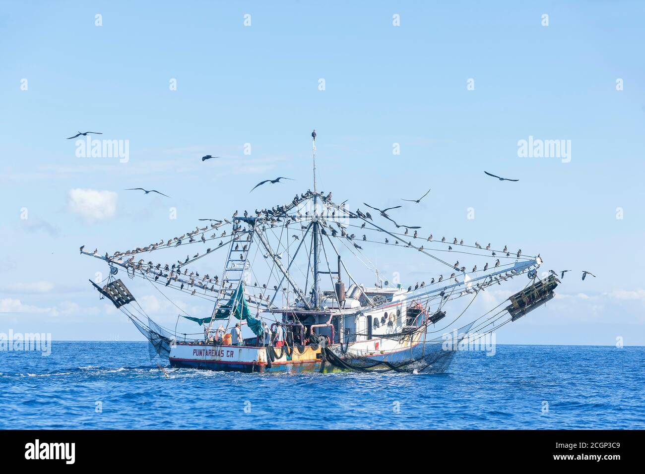 Bateau de pêche accompagné d'un troupeau d'oiseaux, baie de Drake, péninsule d'Osa, Costa Rica Banque D'Images