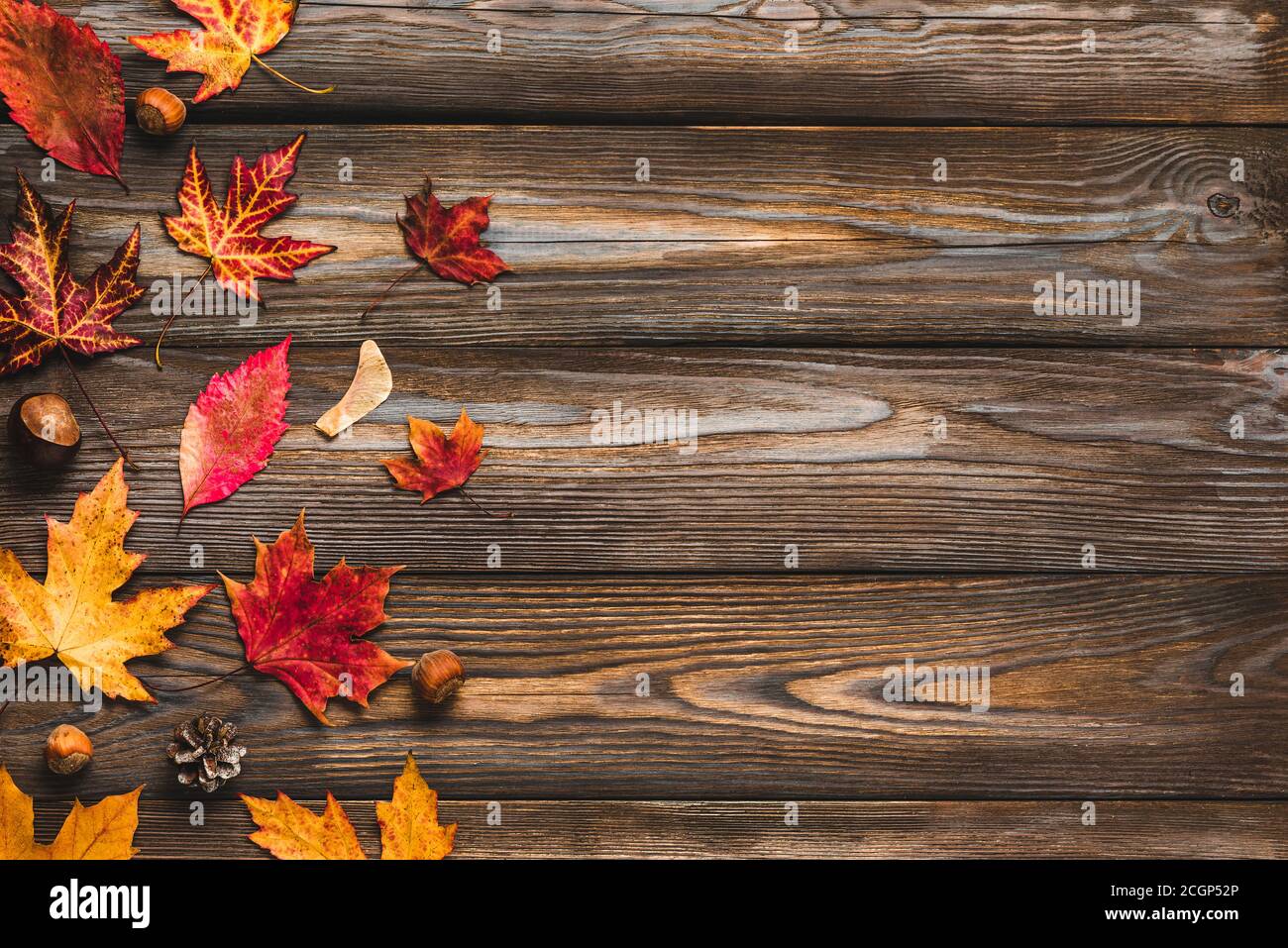 Composition automnale composée de feuilles d'automne, de fleurs, de noix, de cônes de pin sur fond rustique en bois. Flat lay, vue de dessus avec espace de copie Banque D'Images
